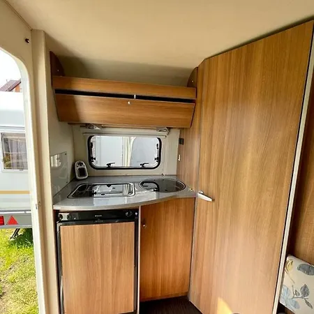 Campsite Campy Campamento