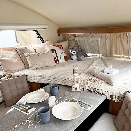 Campy Camping *